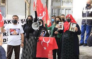 PKK, kardeşlerin birini kaçırdı diğerini şehit...