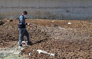 Polatlı Belediyesinden sinekle mücadelede yeni çözüm