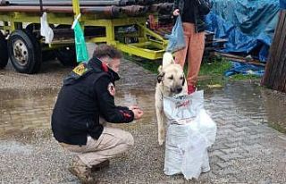 Polis destek oldu, Sokak Hayvanlarını Koruma Derneği...