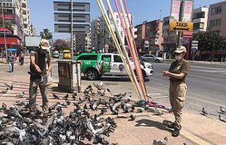Polis sokak hayvanlarını unutmadı