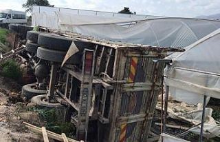 Portakal yüklü kamyon seraya daldı