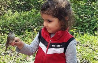 Prag ve Brüksel’li kuşlar Boğazkent’te