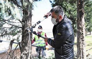 Pursaklar’da parklar yaza hazırlanıyor