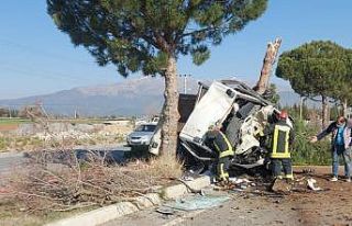 Refüjdeki ağacı devirdi, hurdaya dönen kamyonetten...