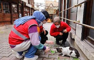 Safranbolu’dan Genç Kızılay faaliyete başladı