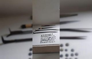 Sakarya’da tarihi eser kaçakçılığı operasyonu