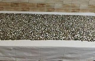 Sakarya’da tarihi eser kaçakçılığı operasyonu:...