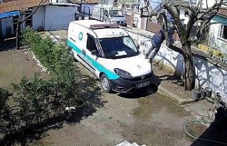 Sakarya’da trajikomik olay