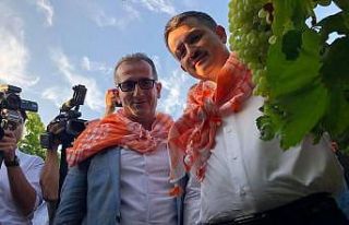 Salihli’deki don zararı yüzde 10 ila 30 arasında