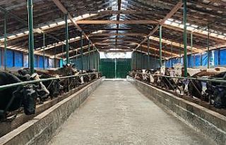 Samsun 167 milyon TL yatırım değeri olan 31 projeyi...