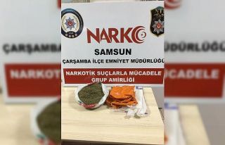 Samsun’da 550 gram bonzai ele geçirildi: 2 gözaltı