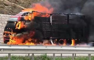 Samsun’da 600 bin liralık pamuk, tırla birlikte...