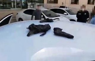 Şanlıurfa’da durdurulan otomobilde 18 tabanca...