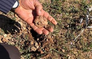 Şanlıurfa’nın vazgeçilmez lezzeti keme Kebabı