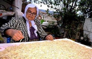 Sarıgöl’de ev yapımı erişte yapımına başlandı