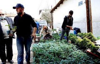 Sarıgöl’de sebze fide satışlarına büyük ilgi