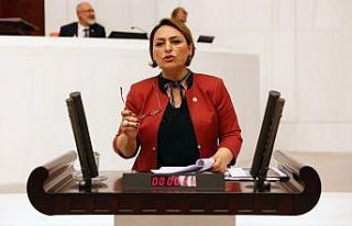 Savcıdan doktora psikolojik şiddet meclis gündeminde