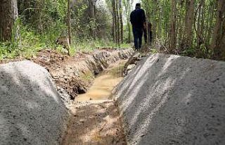 Savur’da tarımsal kalkınmayı destekleyecek proje...