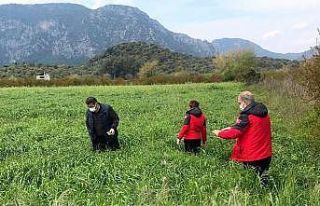 Saylak: "Çiftçimizi desteklemek için var gücümüzle...