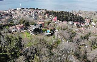 Sedat Peker’in Beykoz’daki villası havadan görüntülendi