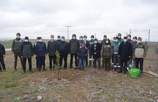 Şehit Neşet Gök Hatıra Ormanı’na yeni fidanlar...