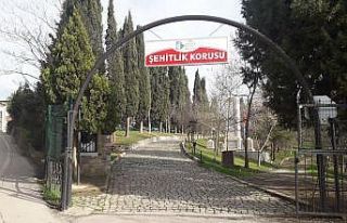 Şehitlik anıtı yenileniyor