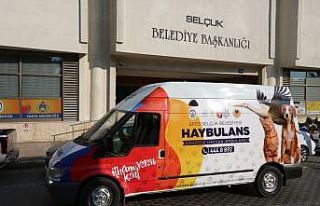 Selçuk Belediyesi pandemide sokak hayvanları yalnız...
