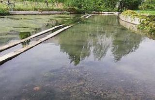 Şenoba Belediyesi tarafından akarsu ve kaynak sularda...