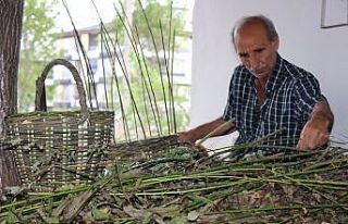 Sepete dönüşen söğüt dalları yarım asırlık...