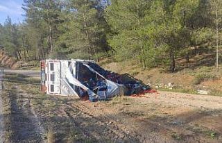 Seydikemer’de domates yüklü kamyon devrildi