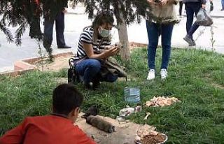 Siirt’te caddede doğum yapan köpeğe vatandaşlar...