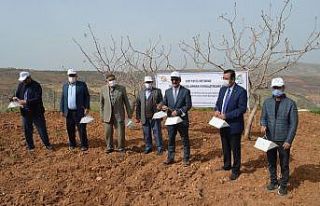 Siirt’te fıstık bahçelerine 2 bin 295 feromon...