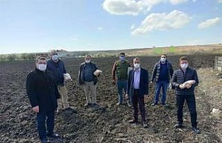 Silajlık mısır çeşit demonstrasyonlarına ait...