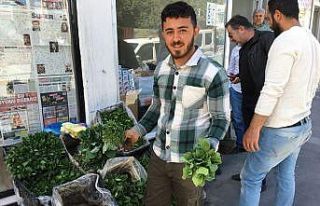 Silvan’da sebze fideleri satışa çıktı