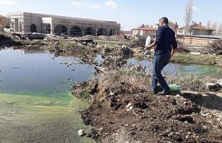 Sinek ve haşere ile mücadele erken başladı