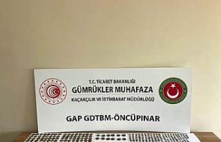 Sınır kapısında 544 adet tarihi sikke ele geçirildi