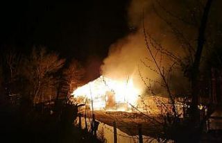 Sinop’ta ahır yangını: 12 büyükbaş hayvan...