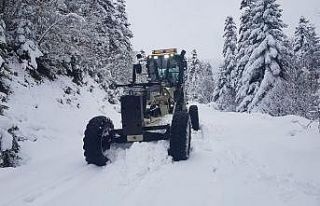 Sinop’ta Nisan karı: 10 köy yolu kapalı