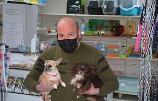 Sinop’ta pandemide sahiplenmeye ilgi arttı