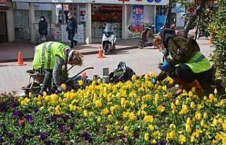 Sinop’ta yaza rengârenk hazırlık