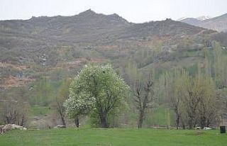 Şırnak’ta 1 köy karantinaya alındı