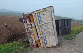 Şırnak’ta konteyner yüklü tır devrildi: 1 yaralı