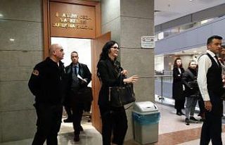 Sırp modele darp davasında yargılamaya devam edildi