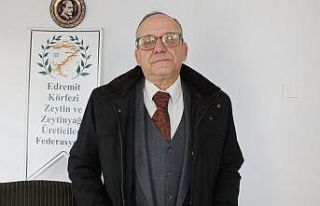 Sızma zeytinyağında toksin iddiası, Balıkesir’de...