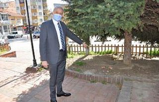 Sokak dostlarına zehirli saldırı