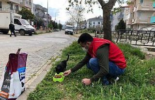 Sokak hayvanları için kuru mama dağıtıldı