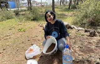 Sokak hayvanlarını beslemek için her gün kilometrelerce...