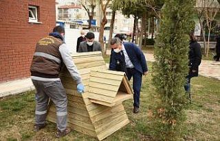 Sokak kedileri ev sahibi oldu