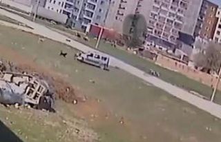 Sokak köpeklerinin çocuğa saldırma anı kameralara...