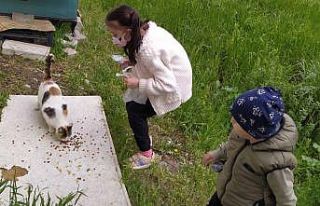 “Sokaktaki Kedileri Sevgiyle Besler Misin Projesi”...